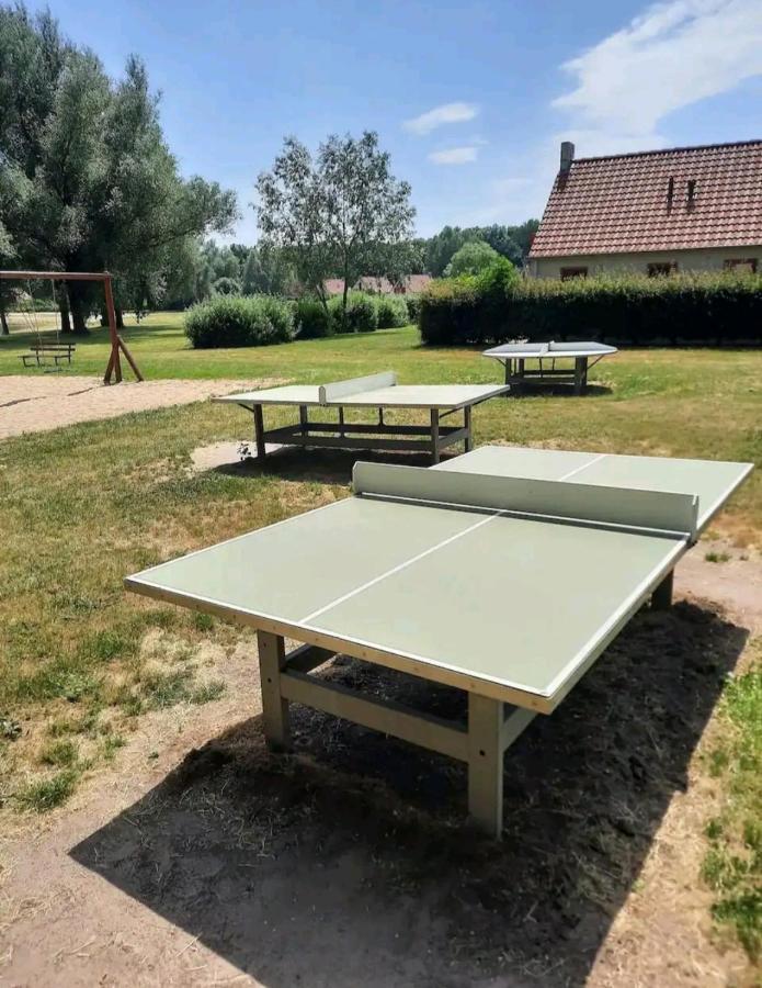 7 Person House With Garden, Firepit, Swimming Lake, Hammock, Child Friendly, In- And Outside Playground, Slide, And Great Coffee Ewijk Esterno foto